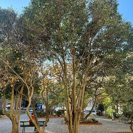 Διαμέρισμα Boutique